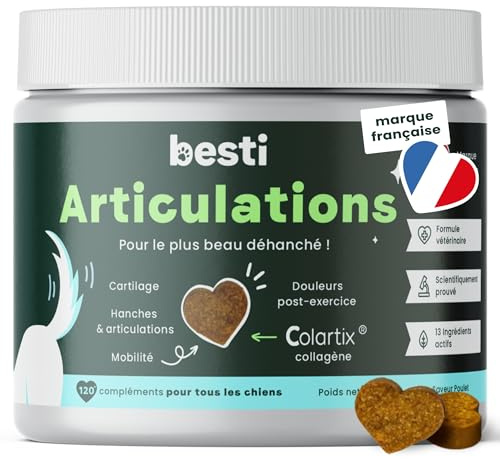 besti Articulations Chien - 120 Compléments Anti-Arthrose - 100% Mobilité | Protège le Cartilage, Réduit les Raideurs, Soutient les Os - Marque Française Premium, Formule Vétérinaire - Au Poulet - 300g