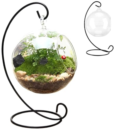 Air Plant Terrarium, With Black Iron Stand Clear Glass Terrariums for Plants, Hanging Funny DIY Air Plant Terrarium Kit, Small Plants Kit