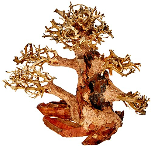 Amtra - Oriental Wind Wood 4, dekoration sötvattenakvarium, bonsaiträ, handgjord, för aquascaping, 23 x 10 x 17 cm
