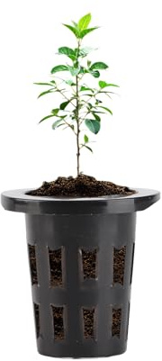Natudeco 50 Piezas de Maceta sin Suelo, Cesta hidropónica Multifuncional, PP, hidroponía, Maceta de Red, Cultivo sin Suelo, plantación de Flores, Cesta de Malla para jardín al Aire Libre(Negro)