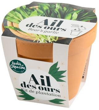 Kit de plantation - Ail Des Ours