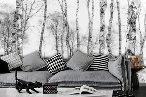 Papier Peint Panoramique Bouleau Noir Et Blanc 3D Poster Mural pour Salon Chambre Décoration Murale