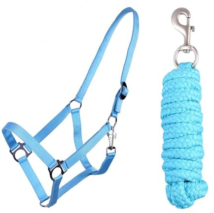 ARBO-INOX Halfter Set Beginner - Halfter + Führstrick mit Karabinerhaken verstellbar (Full Warmblut, Hellblau)