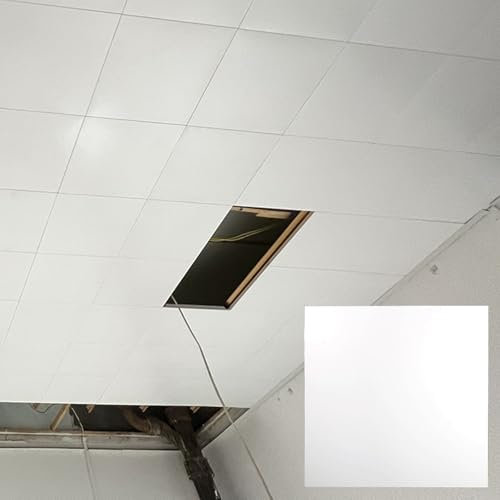 Deckenpaneele deckenplatten Deckenplatten Aus Aluminium, 10 Stück Deckenpaneele Für Badezimmer/Keller/Garage/Restaurantküche, Kompatibel Mit 60cm Gittern, Weiß