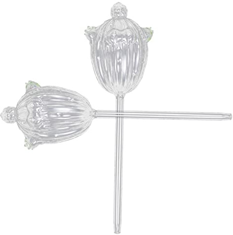 TOYANDONA 2piezas Regadera Automática para Plantas Bombilla De Riego De Estacas De Riego Automático para Jardín Unidades
