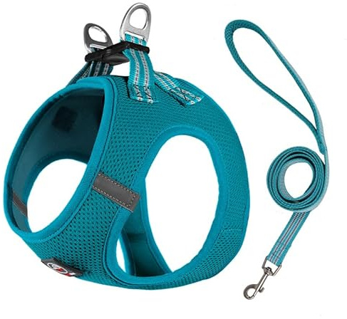 Lalazoo Miami Hundegeschirr Step-in – No-Pull leicht & atmungsaktiv gepolstert & reflektierend verstellbar mit Doppel-D-Ring & Sicherheitsverschluss für kleine Hunde Welpen inkl. Leine – Türkis, XS
