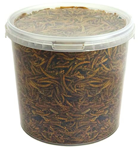 GardenersDream Vermi Essiccati - Nutriente Trattamento di Cibo per Uccelli Selvatici del Giardino (5L)