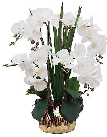 CXGS Artificial Orchid Flower Real Touch Faux Orchids in Ceramic Vase Large 22.9'' Fake Flowers White Phalaenopsis Floral for Home Indoor Decor