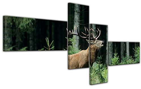 Bilderdepot24 Wandbild Hirsch - 200x90 cm quer mehrteilig Bilder als Leinwanddruck Fotoleinwand Tierbild Waldtier - Rotwild - röhrender Hirsch im Wald