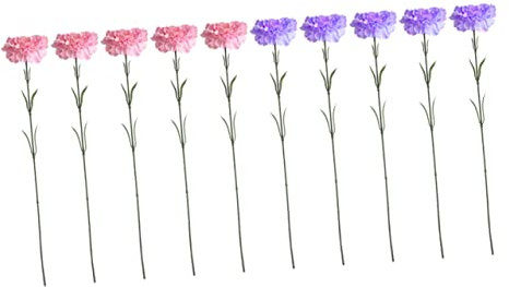 Ciieeo Hochzeitsdekoration 18 STK Simulationsblume Für Party Nelke Künstlicher Blumenstrauß Kunstpflanze Konservierte Nelkenblüte Pflanzen Gefälschte Blumenzweige Blumendekor Haushalt