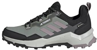 Adidas Women's Terrex AX4 Gore-Tex Hiking, Silver Green/Preloved Fig/Black, 11