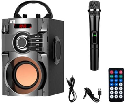 F Fityle Machine de karaoké prenant en la Carte TF avec Micro Haut-Parleur Portable BT avec pour Le Divertissement Familial en intérieur, Noir