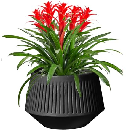 Macetas para Orquídeas con Agujeros,Macetero Transpirable para Orquídeas | Doble Capa para Control de Raíces y Riego Hidropónico para Plantas Vivas como Violetas Africanas y Plantas de Interior