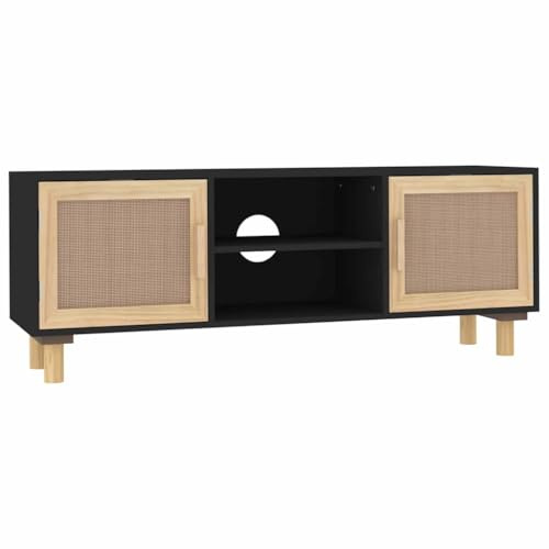 vidaXL TV Schrank Lowboard TV Möbel Sideboard Fernsehtisch Fernsehschrank HiFi-Schrank Schwarz 105x30x40cm Massivholz Kiefer Natur-Rattan
