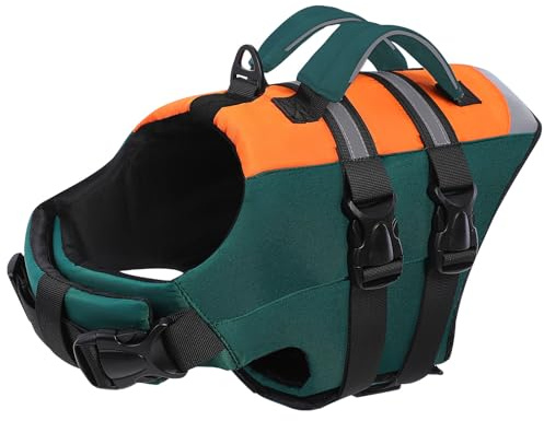 CITÉTOILE Hunde Schwimmweste mit Griff & Sicherheitsgurt Grün S | Rettungsweste für Hunde mit Auftrieb, Schwimmhilfe für Boot, Pool & Seen, Wassersicherheit für kleine bis große Hunde