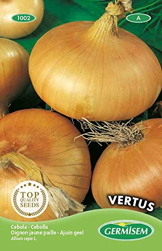 Germisem Vertus Semi di Cipolla 4 g