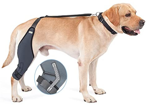 Hunde-Kniebandage, 8 Größen, Hunde-Ellenbogenbandage, Knie-Wegfahrsperre, Unterstützung Mit Metallstreifen, Hilft Dem Hund, Das Gelenk Stabil Zu Halten, Neopren-Hunde-Kniebandage,XXL