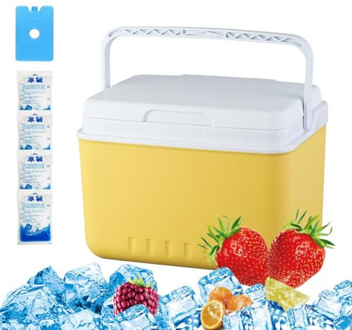 Frigorifero | con Isolamento Termico E Vassoio per Ghiaccio,Contenitore Impermeabile Di Grande Capacità, Accessori Da Viaggio Refrigerati per Campeggio E Escursioni con Stoccaggio Drink