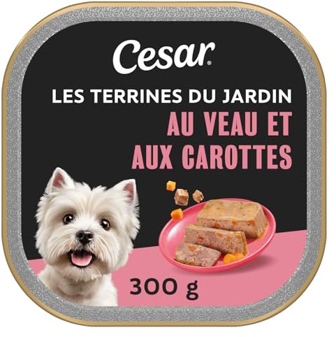 CESAR Barquette en terrine au veau et aux carottes - Pour chien adulte - 300 g (x20)