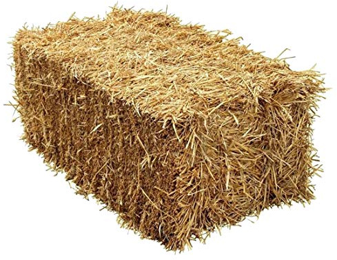 M-Import Super Bio Stroh ca. 4 kg 100l - Gerstenstroh von Strohballen, Füttern und Einstreue Meerschweinchen Hasen Kaninchen in einem - frische Ernte 2021