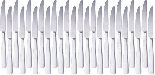 Amazon Basics Cuchillos de mesa de acero inoxidable con borde cuadrado, 12 unité, lot de 2, Argenté