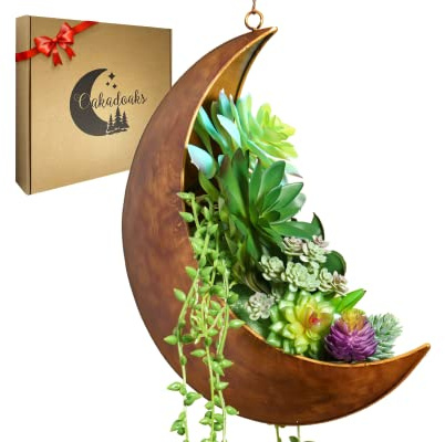 Oakadoaks Pot de fleurs à suspendre en forme de lune pour décoration de chambre à coucher, idéal pour les plantes grasses, les plantes aériennes, les mini cactus, les fausses plantes artificielles,