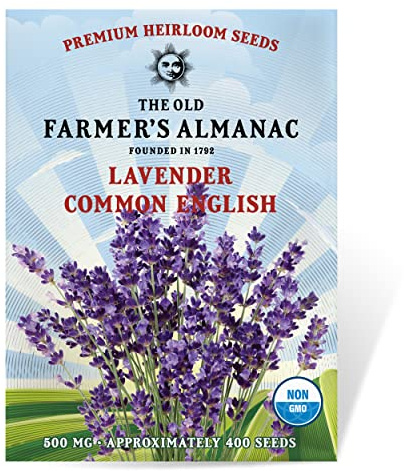 The Old Farmer's Almanac Heirloom Lavender Seeds (Common English) - Approx 360 Seeds - Non-GMO, Open Pollinated