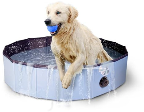 CoolPets Splash Dog Pool - Kühlungspool für Hunde - Hundepool - Hundebad - Spielerische Abkühlung - ø 80 x 20 cm - Small