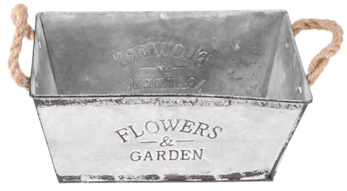DOITOOL Seau à Fleurs en Fer Moyen Poignée Seau à Plantes Décoratif pour Fleurs Fraîches et Séchées Pot de Rangement Robuste et Décoration Intérieure