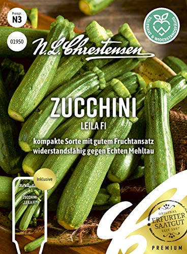 Zucchini Leila F1 Samen, Saatgut