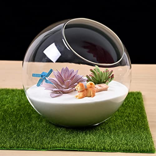 SPORTARC Vaso in vetro per piante grasse, terrario, vaso da fiori (solo contenitore)