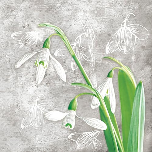 20 Servietten Blumen, Garten & Natur Natürliche Schneeglöckchen auf grau als Tischdeko. Papierservietten mit Motiv. Auch für Decoupage und Serviettentechnik 33x33cm