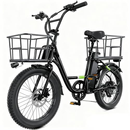 Flydone E Bike for Adults Electric Bike with Dual Cargo Rack, 48V 1000W Peak Ebikes for Adults, 7 Speed Gear, 20mph Step Thru Cruiser Electric Bicycles, 20 × 3“ Fat Tire Ebike