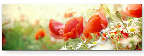 Leinwandbilder | Bilder Leinwand 120x40cm Mohnblumen im Sonnenschein