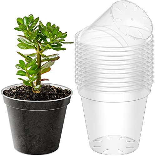 Hoolerry Lot de 12 grands pots à orchidée transparents avec trous en plastique transparent pour rempotage de plantes grasses tout usage 22,9 cm