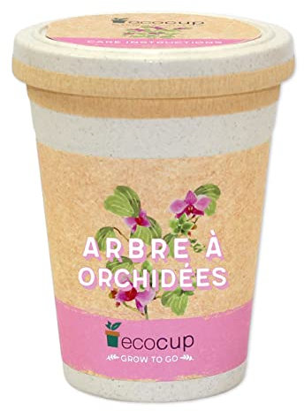 Feel Green Ecocup, Arbre À Orchidées, Idée Cadeau (100% Ecologique), Grow-Your-Own/Kit Prêt-à-Pousser, Plantes Dans Coffee Cup 10 x 8 cm, Produit En Autriche