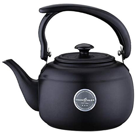 Caffettiera Bollitore for il latte, teiera da 1 litro Bollitore for caffè e tè in acciaio inossidabile Piano cottura a induzione Teiera for ufficio Acqua calda Bollente veloce, Regalo per, 2 colori tr