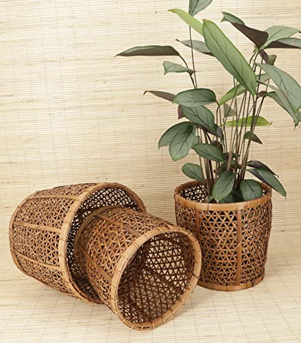 GURU SHOP Rattan Papierkorb, Übertopf, Korb in 3 Größen, Braun, Size:groß 23,5x27x27 cm