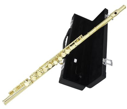 Querflöte Instrument Vergoldete 16 Löcher C-Ton-Flöte E-Ton Holzblasinstrument Vernickelte Silberne Kupfernickel-Röhrenflöte Mit Zubehör