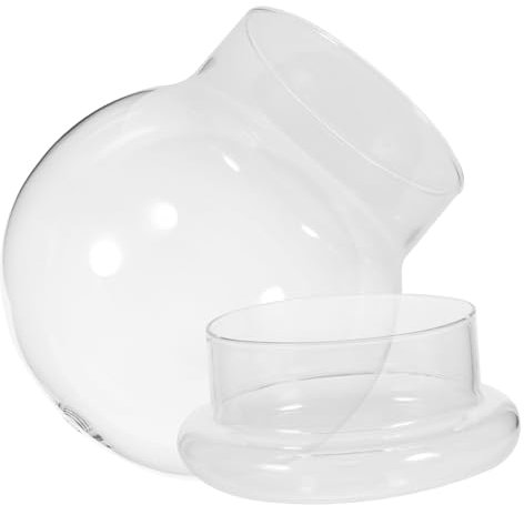 Vaguelly Diy Eco Bottle Plant Display Glass Dome Landscape Bottle for Indoor Decoration