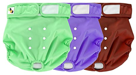 JM Pannolini Riutilizzabili per Cani Femmina - Pantaloni Mestruali, Mutandine Calde per Cani Femmina - Confezione da 3 Lavabili Medio (Adatto per vita da 14- 20) Multi Colore
