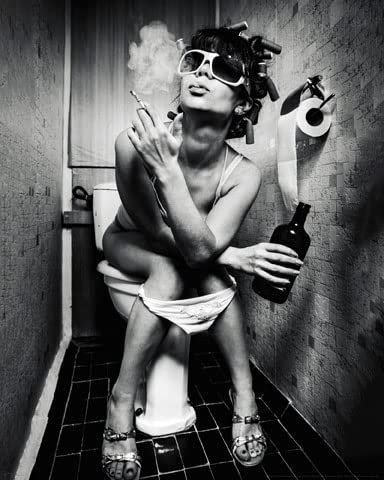 empireposter Toilet Cam - Party Hard - Poster Druck 40x50 cm + 2 St Posterleisten Holz 40,5 cm