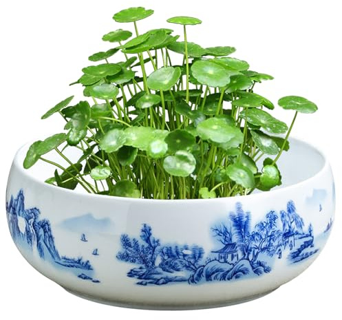 JZLEJC Shallow Ceramic Planter - 7.87x2.95 Inch Round Glazed Succulent Bowl for Indoor & Outdoor Plants, Perfect for Garden Decor