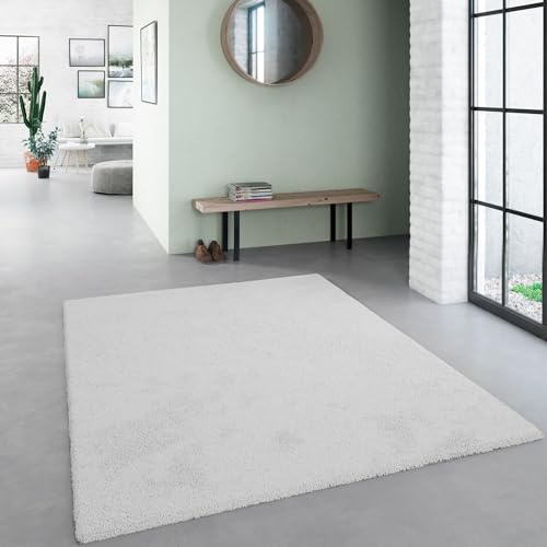 Steffensmeier Hochflor Teppich Sevilla | Shaggy | langflor Teppich | Wohnzimmer | Hellgrau, Größe: 160x230 cm