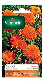 Vilmorin 5791842