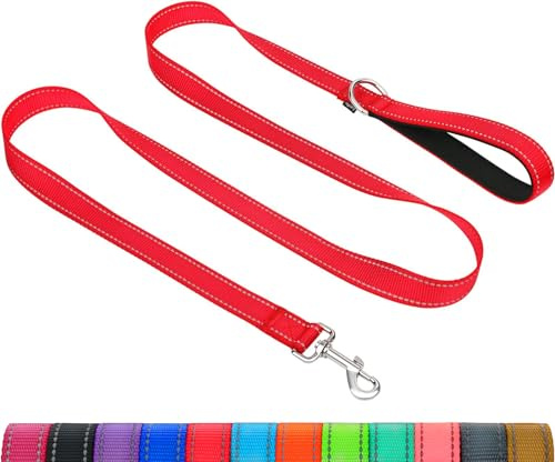 Taglory Laisse de Dressage réfléchissante pour Chien, poignée rembourrée en néoprène et Crochet en métal, 1.2m x 2.0cm Laisse en Nylon pour Petits Chiens, Rouge