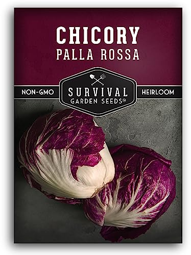 Survival Garden Seeds - Palla Rossa Chicory Seed for Planting - 1 Packet with Instructions to Plant & Grow Red Radicchio in Your Home Vegetable Garden - Non-GMO Heirloom Vegetable
