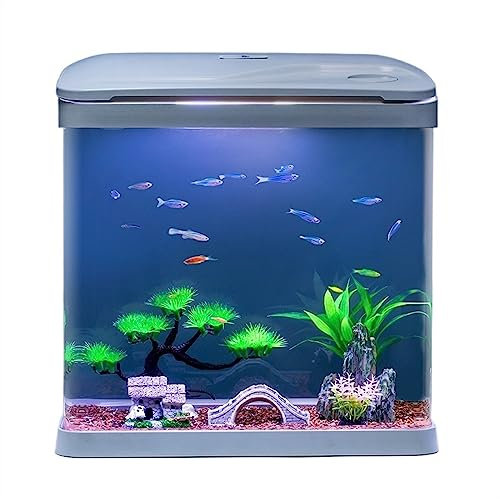 Aquarium Aquarium mit Sauerstofffiltration, integriertes Glas-Aquarium, Kleiner selbstzirkulierender Haushalt mit LED-Leuchten, ökologisches Aquarium Fischtank