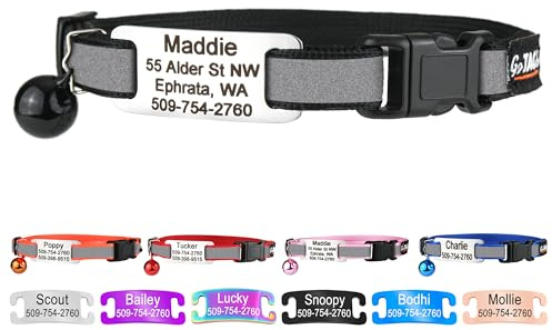 GoTags Personalized Reflective Cat Collars with Tag, Engraved Custom Name