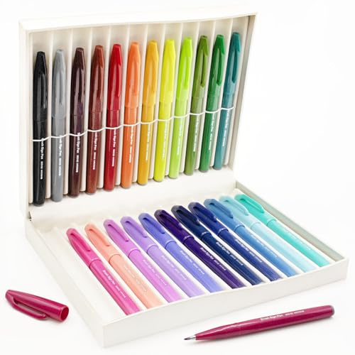 Pentel SES15C - Juego de 24 bolígrafos con punta de pincel flexible, ideal para principiantes y profesionales, gráficos, ilustraciones, caligrafía, en caja de regalo